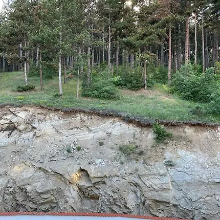 ванеса Welingrad