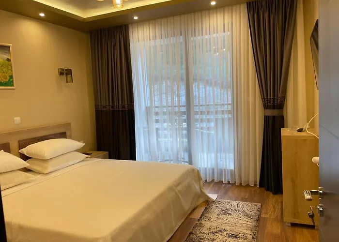 ванеса アパート *