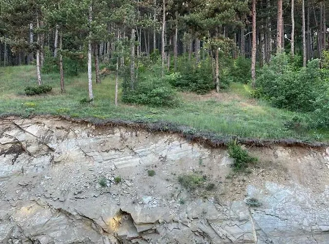 ванеса ヴェリングラード